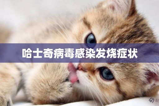 哈士奇病毒感染發燒癥狀
