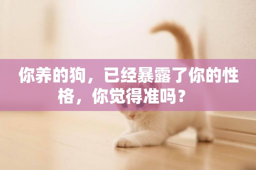 你養的狗，已經暴露了你的性格，你覺得準嗎？ 