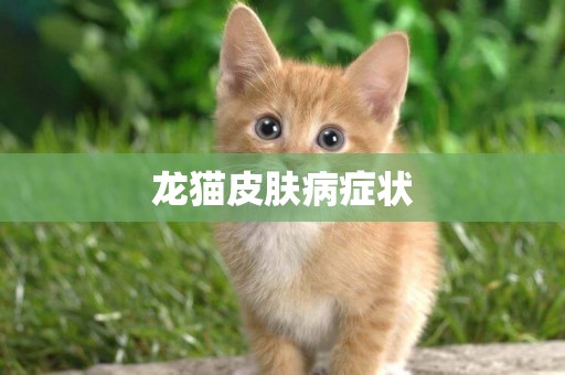 龍貓皮膚病癥狀