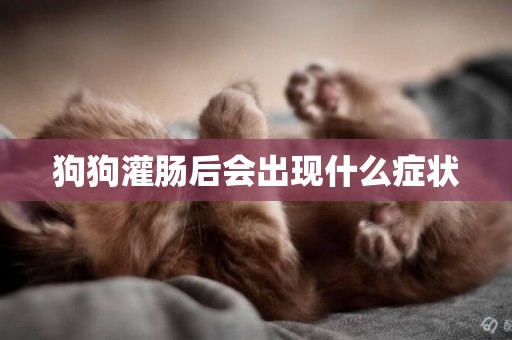 狗狗灌腸后會出現什么癥狀