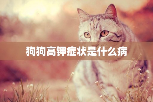 狗狗高鉀癥狀是什么病