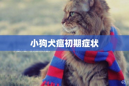 小狗犬瘟初期癥狀