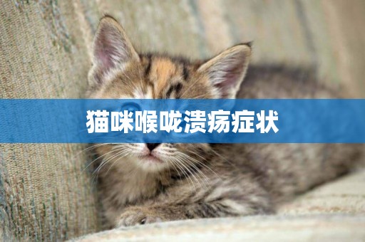 貓咪喉嚨潰瘍癥狀