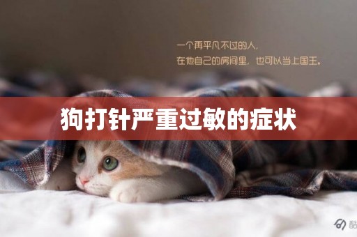 狗打針嚴重過敏的癥狀