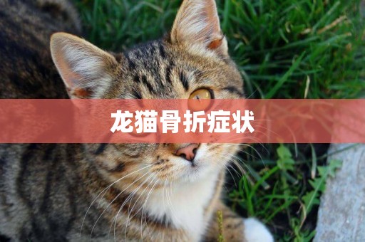 龍貓骨折癥狀
