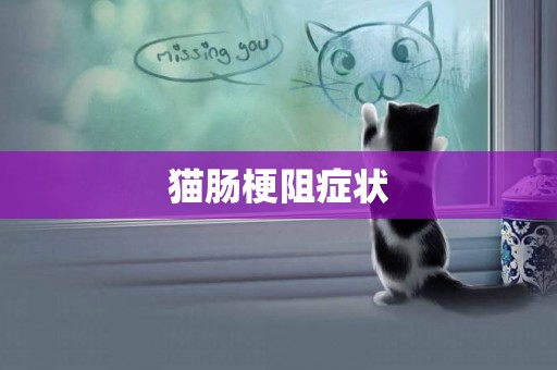 貓腸梗阻癥狀