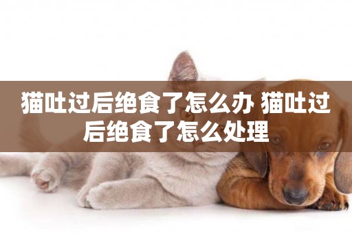 貓吐過后絕食了怎么辦 貓吐過后絕食了怎么處理