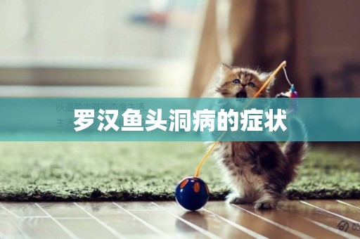 羅漢魚頭洞病的癥狀