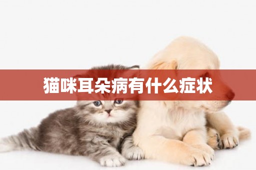 貓咪耳朵病有什么癥狀
