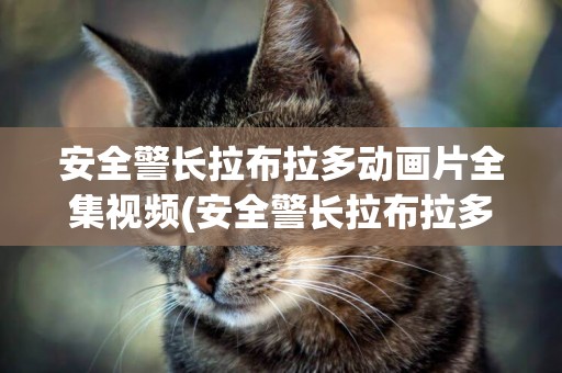 安全警長拉布拉多動畫片全集視頻(安全警長拉布拉多動畫片) 