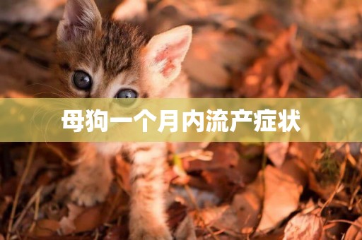 母狗一個月內流產癥狀