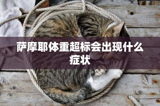 薩摩耶體重超標會出現什么癥狀
