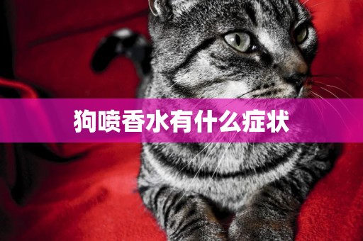 狗噴香水有什么癥狀