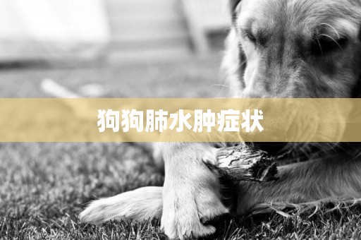 狗狗肺水腫癥狀