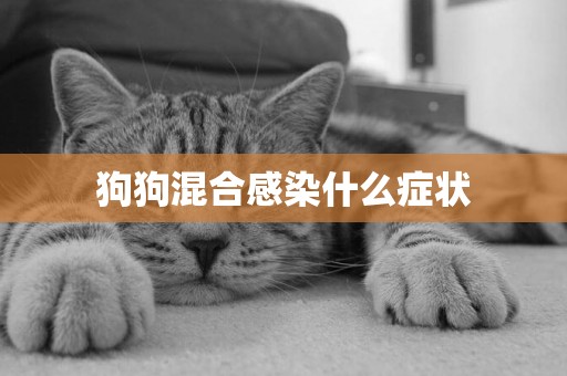 狗狗混合感染什么癥狀