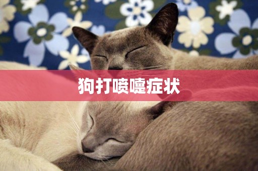 狗打噴嚏癥狀