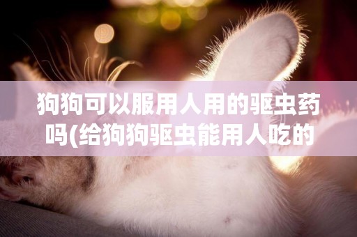 狗狗可以服用人用的驅蟲藥嗎(給狗狗驅蟲能用人吃的驅蟲藥嗎)