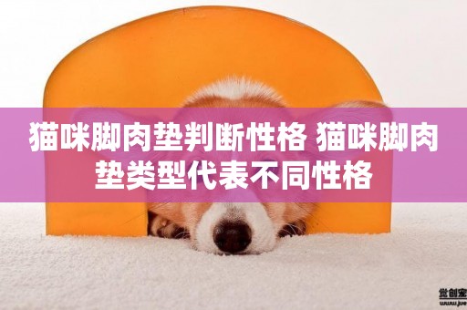 貓咪腳肉墊判斷性格 貓咪腳肉墊類型代表不同性格
