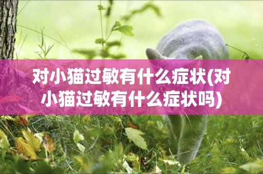 對小貓過敏有什么癥狀(對小貓過敏有什么癥狀嗎)