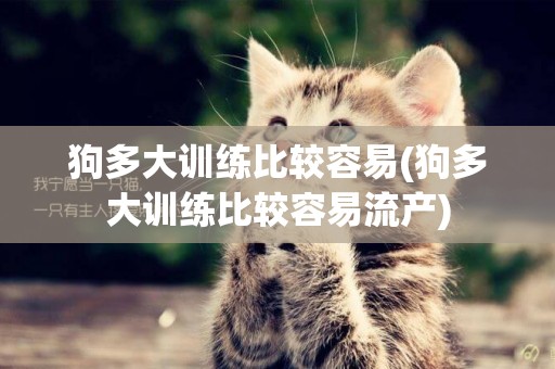狗多大訓練比較容易(狗多大訓練比較容易流產)
