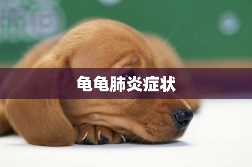 龜龜肺炎癥狀