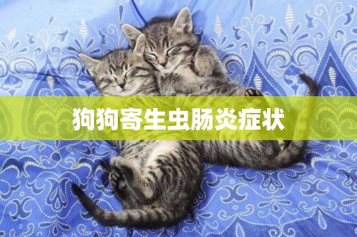 狗狗寄生蟲腸炎癥狀