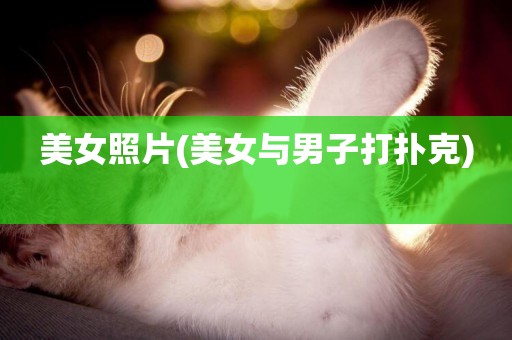 美女照片(美女與男子打撲克) 