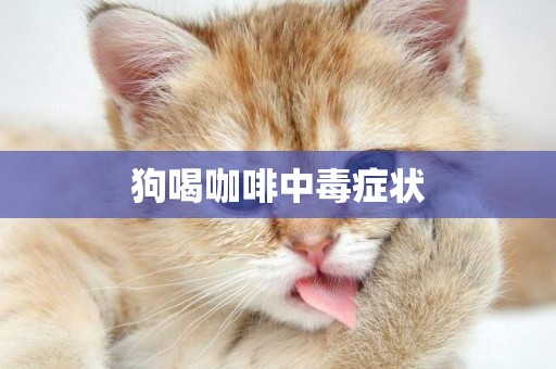 狗喝咖啡中毒癥狀