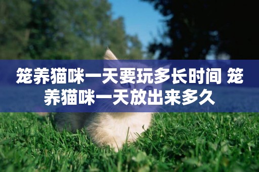 籠養貓咪一天要玩多長時間 籠養貓咪一天放出來多久