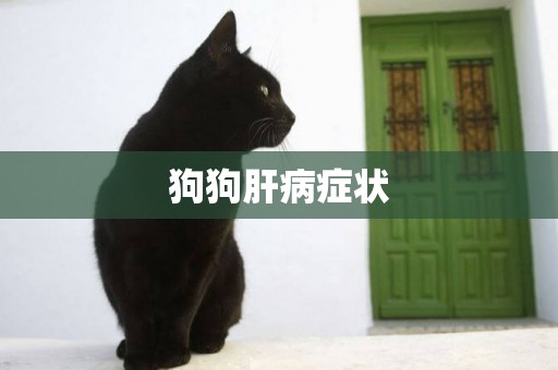 狗狗肝病癥狀