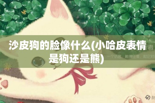沙皮狗的臉像什么(小哈皮表情是狗還是熊) 
