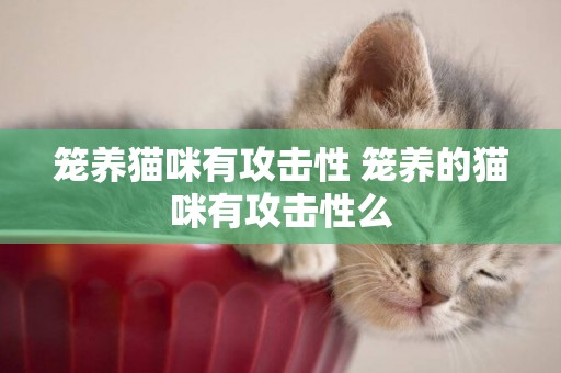 籠養貓咪有攻擊性 籠養的貓咪有攻擊性么