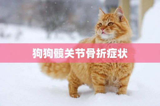 狗狗髖關節骨折癥狀