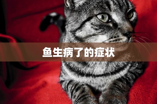 魚生病了的癥狀