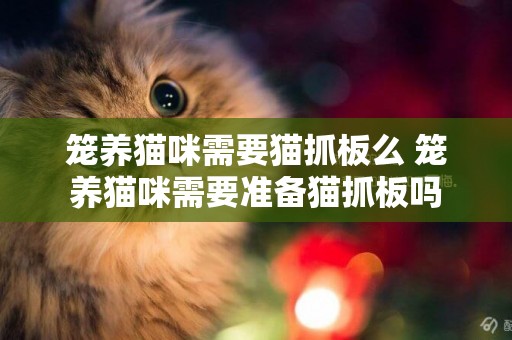 籠養貓咪需要貓抓板么 籠養貓咪需要準備貓抓板嗎