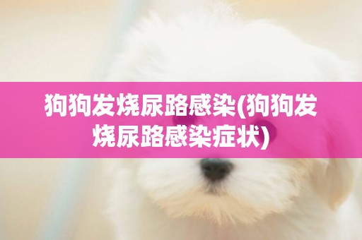 狗狗發燒尿路感染(狗狗發燒尿路感染癥狀)