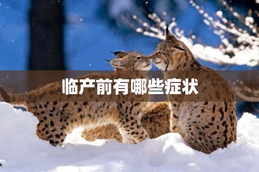 臨產前有哪些癥狀