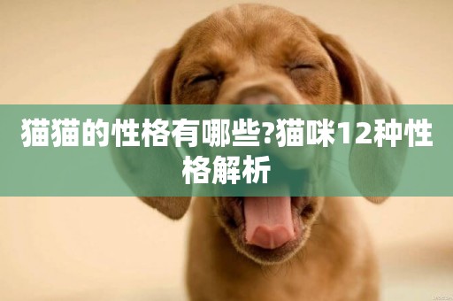 貓貓的性格有哪些?貓咪12種性格解析