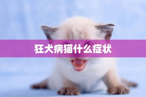 狂犬病貓什么癥狀