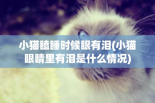 小貓瞌睡時候眼有淚(小貓眼睛里有淚是什么情況)