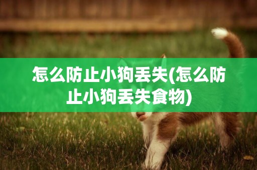 怎么防止小狗丟失(怎么防止小狗丟失食物)