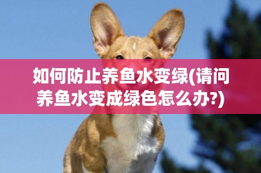 如何防止養魚水變綠(請問養魚水變成綠色怎么辦?)
