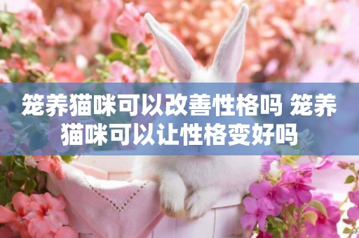籠養貓咪可以改善性格嗎 籠養貓咪可以讓性格變好嗎