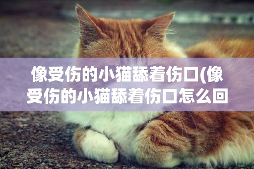 像受傷的小貓舔著傷口(像受傷的小貓舔著傷口怎么回事)