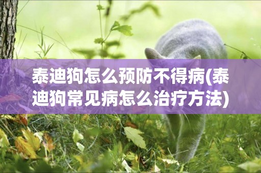 泰迪狗怎么預防不得病(泰迪狗常見病怎么治療方法)