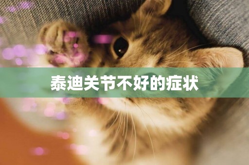 泰迪關節不好的癥狀
