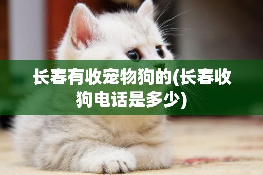 長春有收寵物狗的(長春收狗電話是多少)