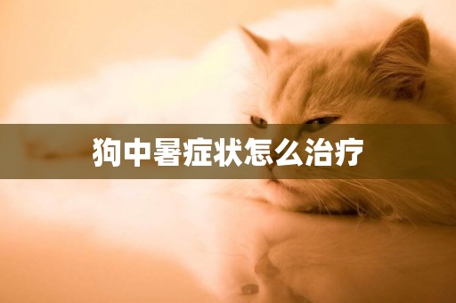 狗中暑癥狀怎么治療