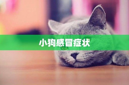 小狗感冒癥狀