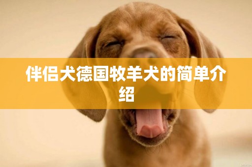 伴侶犬德國牧羊犬的簡單介紹